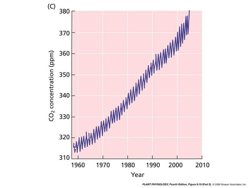 As concentrações do CO 2 continuam a aumentar (k mil anos) O principal gás da atmosfera é
