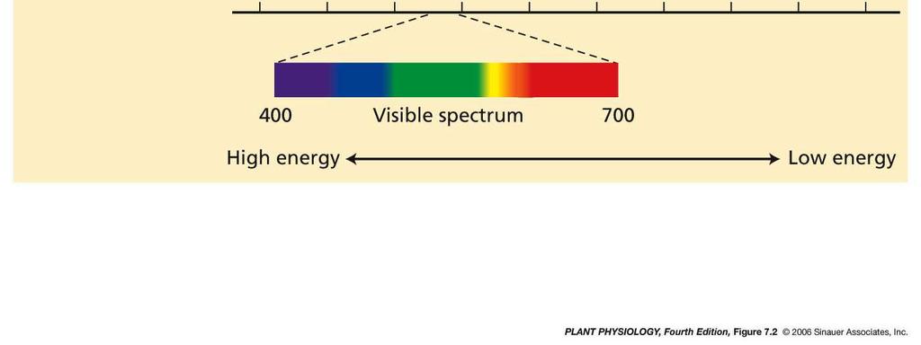 qualitativo da luz) - 60% não é absorvida 2-