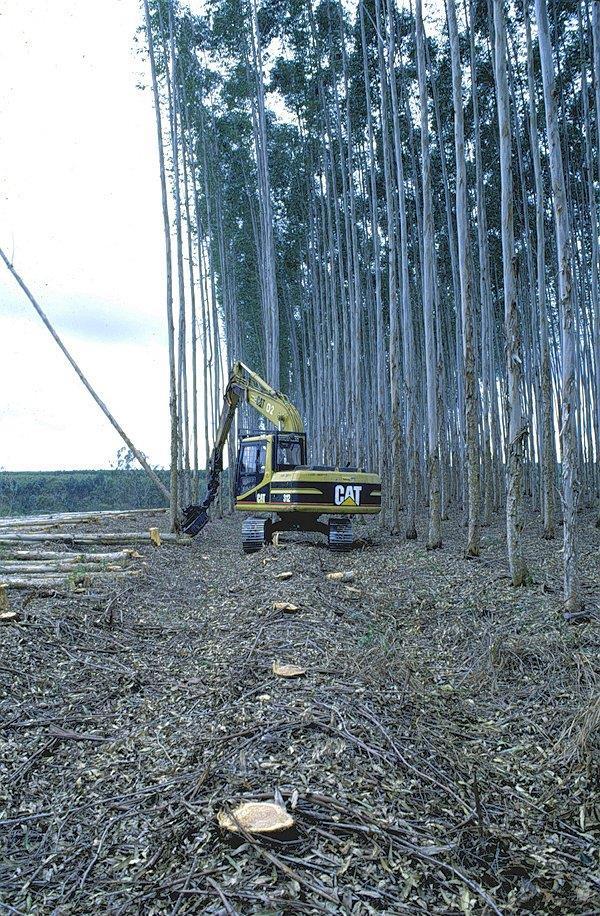 Qual operação da colheita florestal que causa maior compactação do solo?