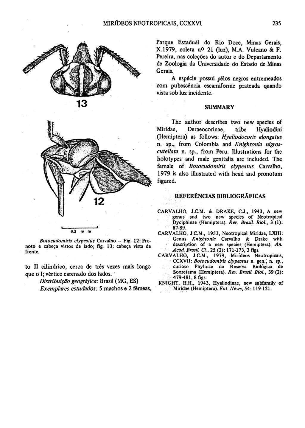 MIRCDEOS NEOTROPICAIS, CCXXVI 235 13 Parque Estadual do Rio Doce, Minas Gerais, X.1979, coleta no 21 (luz), M.A. Vulcano & F.