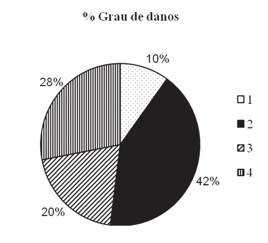 Perdas quantitativas e danos às soqueiras na colheita de cana-de-açúcar no Norte Fluminense (sem danos) em menor quantidade e o grau de danos 2 em maior quantidade, totalizando, respectivamente, 27 e