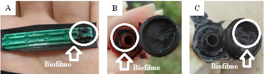Silva, K. B. da et al. Figura 2. Gotejadores G1 (A), G2 (B) e G3 (c) com a presença de biofilme.