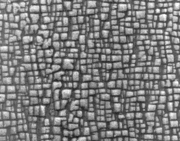 2,5 µm Figura 2 Imagem original da microestrutura da superliga CMSX-6.