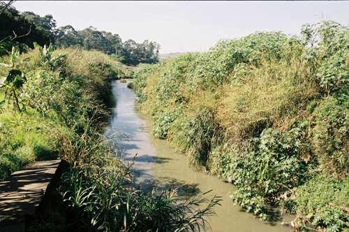 Córrego Aricanduva