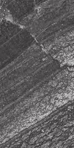 HYPOGENE ALTERATION ASSOCIATED WITH HIGH-GRADE BIF-RELATED IRON ORE 117 A Chert Mag Mag-Qtz-FeSil Chert Chert 1 cm B C Mt Mineralized BIF BIF MpHem MpHem D