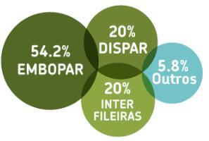 Estrutura Accionista da SPV EMBOPAR (54,2 %) - representa as empresas embaladoras/importadoras; DISPAR (20%) - representa as empresas do comércio e da