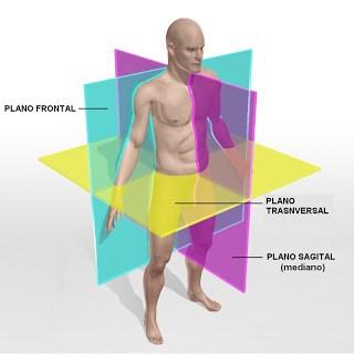 destes planos que é possível descrever os movimentos do corpo humano num espaço dimensional.