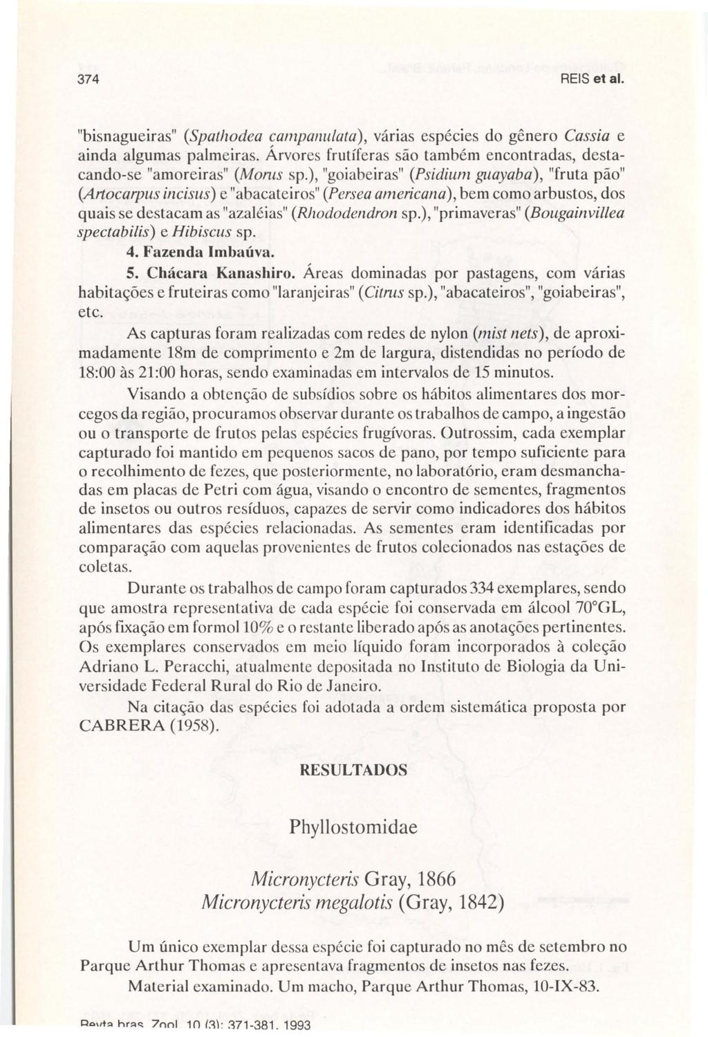 I'l""t" hr,,~ 7nnl 10 (~): 371-381.1993 374 REIS et ai. "bisnagueiras" (Spathodea campalllllata), várias espécies do gênero Cassia e ainda algumas palmeiras.