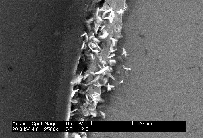 41: Imagem por elétrons secundários obtidas das interfaces dos eletrodos modelos Al 7475/Cu após 24 h de exposição em meio naturalmente aerada 10 mm de Na 2 SO 4 para o par pequeno (a) e para o par