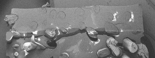 Figura 6: Micrografia da superfície de fratura do corpo de prova com 20% de fibra.