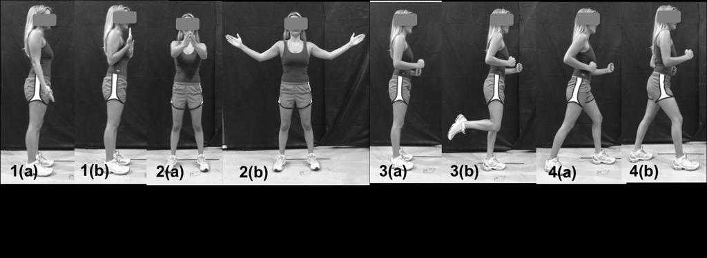 73 anteriormente de acordo com o objetivo da aula (aeróbio ou força); e, por fim, a volta à calma consistia em exercícios de relaxamento e alongamento. 3.5.1.