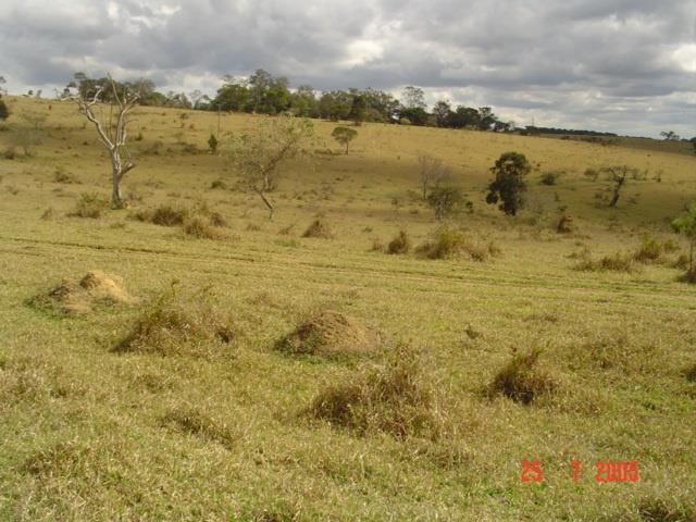 Área de abertura no Sul de