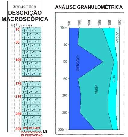 TESTEMUNHOS A PISTÃO: FÁCIES