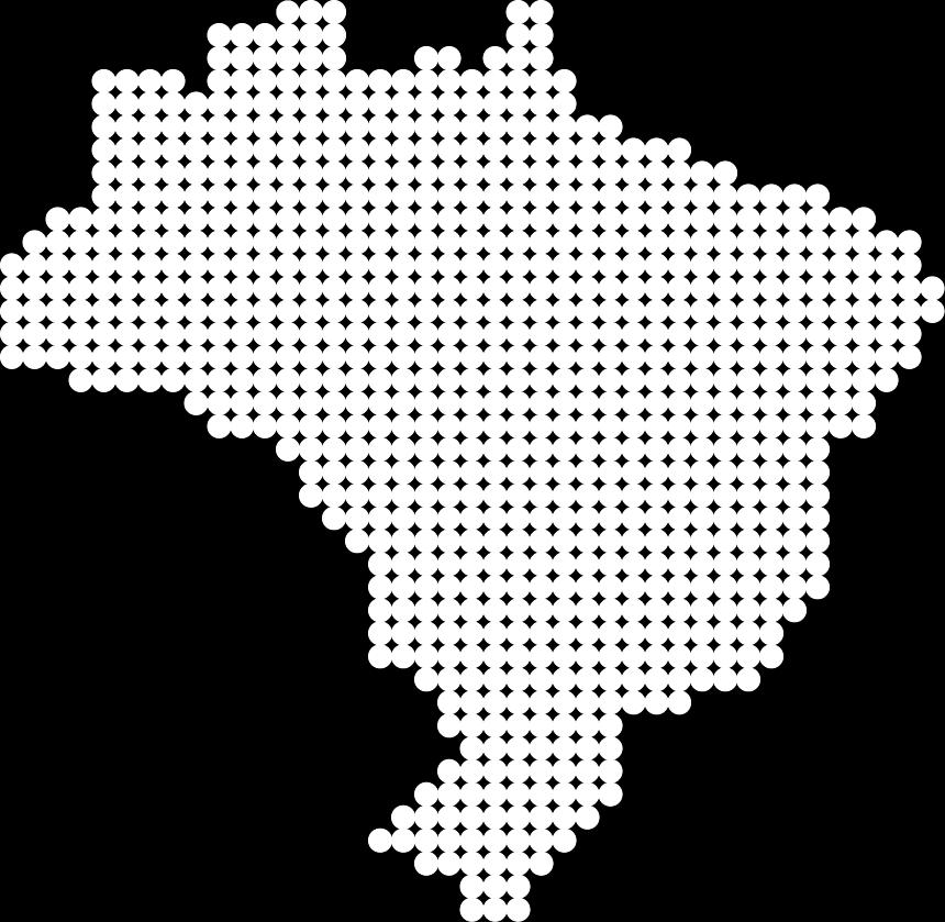 São Paulo s share of the Brazilian output Selected Sectors 33.52% 36.76% 47.77% 55.28% 58.13% 58.34% 67.83% 72.92% 95.