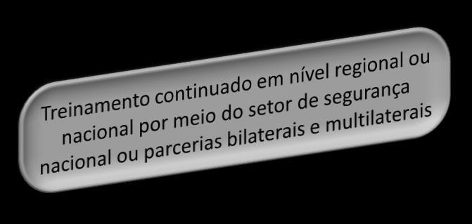 Capacitação convencional no setor de segurança Treinamento realizado pelas instituições de segurança nacional Cooperação de segurança dos EUA: Exercícios (Vários países em Comando e Controle,