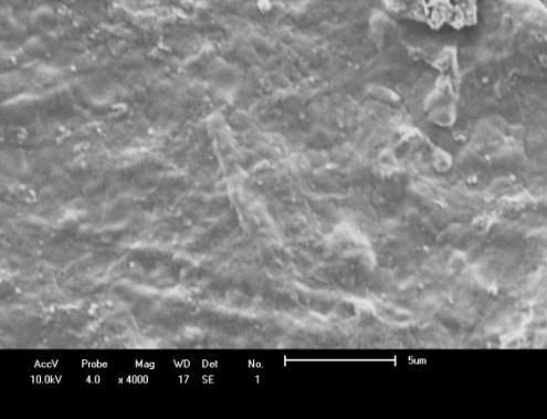 Observa-se uma grande diferença entre as superfícies da membrana antes e depois dos testes de nanofiltração.