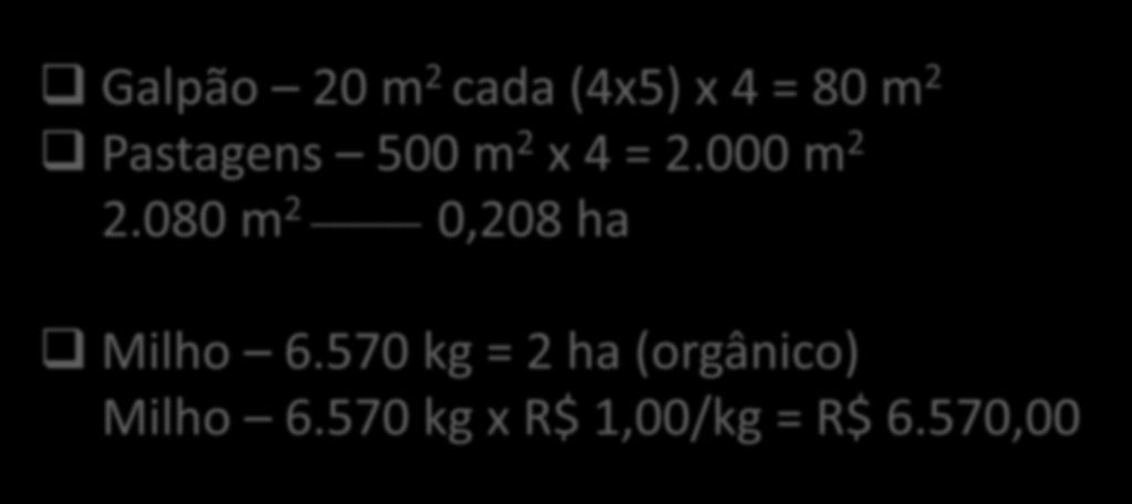 Dimensionamento Básico Galpão 20 m 2 cada (4x5) x 4 = 80 m 2 Pastagens 500 m 2 x 4 = 2.