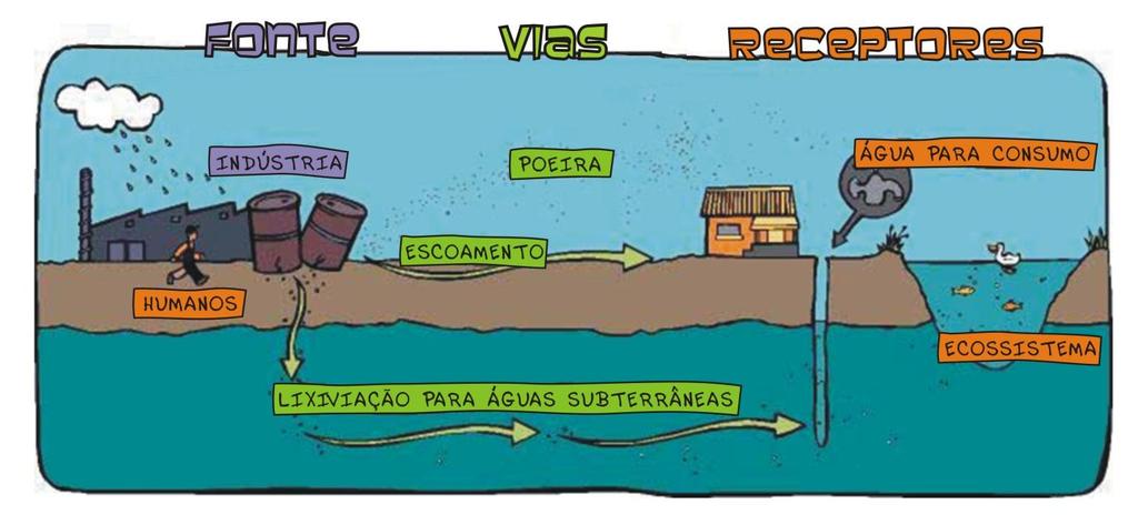 incêndio e/ou explosão, dependendo do tipo de contaminante ou ainda a absorção e a adsorção dos contaminantes pelas raízes de plantas e vegetais comestíveis e a bioacumulação.