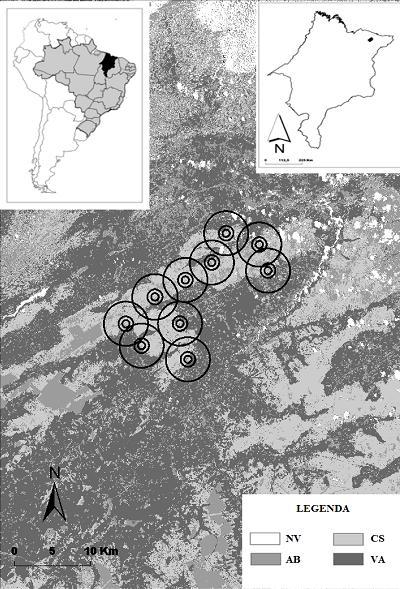 Morcegos no cerrado maranhense - A abundância de morcegos no cerrado do nordeste maranhense está associada a proporção de cerrado (stricto sensu) e de mata ciliar, dependendo da escala estudada.