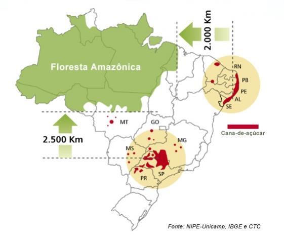 Observações: As metas foram dimensionadas levando-se em consideração os seguintes fatores: Eficiências baseadas nas metas propostas. Dimensionamento de acordo com o mapeamento efetuado junto ao FIESP.