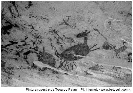 4. ( ENEM-2007 ) A pintura rupestre acima, que é um patrimônio cultural brasileiro, expressa: a) o conflito entre os povos indígenas e os europeus durante o processo de colonização do Brasil.