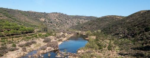 PERCURSOS DE CICLISMO ESTE NÍVEL 1-02- ALCOUTIM 66 km 740 m Na bonita vila raiana do nordeste algarvio, há uma experiência inesquecível que começa junto à praia fluvial.