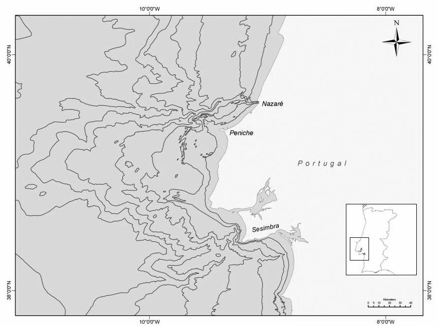 METODOLOGIA As saídas de mar foram realizadas a partir de Sesimbra, na zona centro sul da costa ocidental portuguesa.