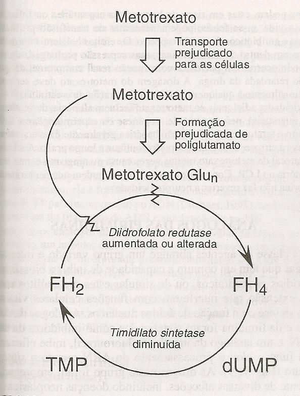 MECANISMO