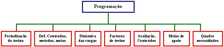 Fonte: Brito (2003) Execução do programa O treino envolve as seguintes fases e etapas: Fonte: Brito (2003) Avaliação e controlo do plano Como em qualquer outro tipo