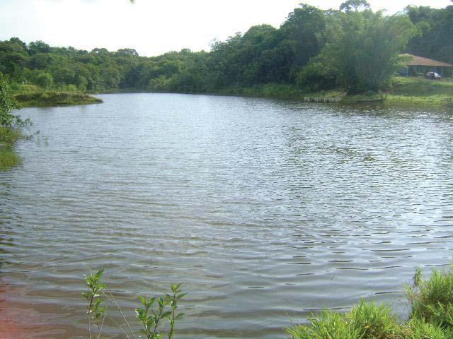 Figura 2. Represa do Ribeirão Lavapés, localizada na área da Escola do Meio Ambiente (22º 55 23 S e 48º 27 28 W), município de Botucatu, SP.