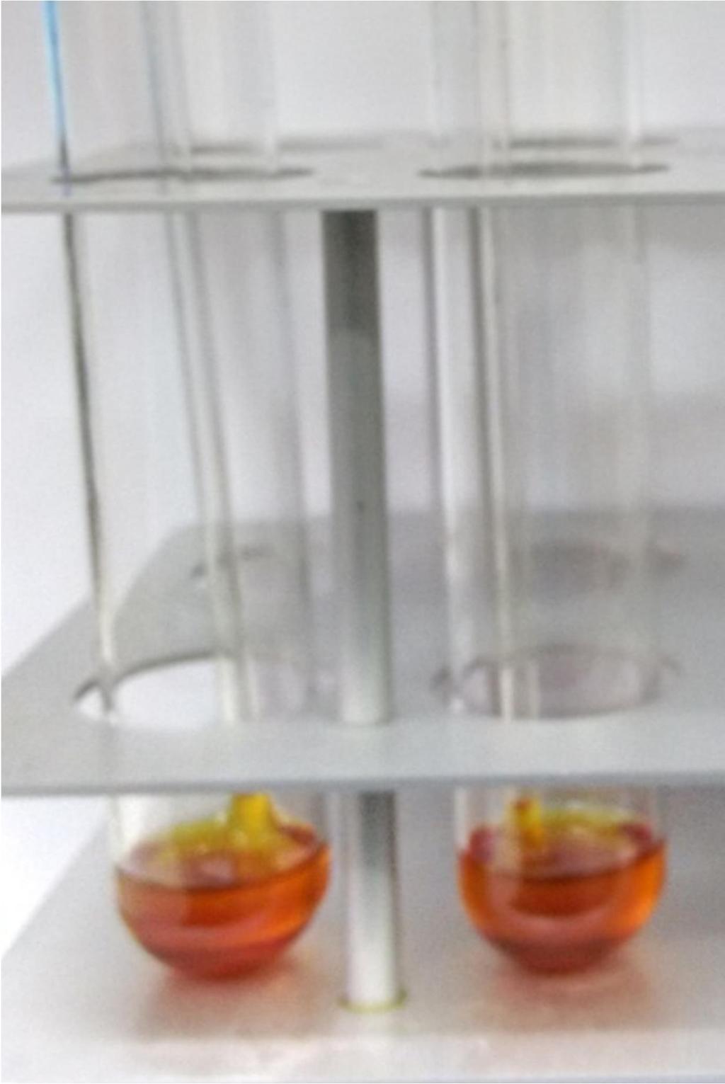 83 Figura 33. Foto do resíduo formado após o ensaio de Rancimat da amostra B20 S10 (realizado em duplicata) no tempo 6 semanas.