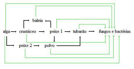 Figura 1: Esquema generalizado do fluxo de energia e ciclo da matéria nos ecossistemas. Fonte: http://www.biomania.com.br/bio/conteudo.asp?cod=1261. Acessado em 04/08/2013.