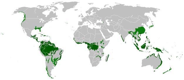 As florestas tropicais As florestas tropicais situam-se nas zonas da Terra próximas à linha do Equador, distribuindo-se em partes da África, Ásia, Austrália e América.