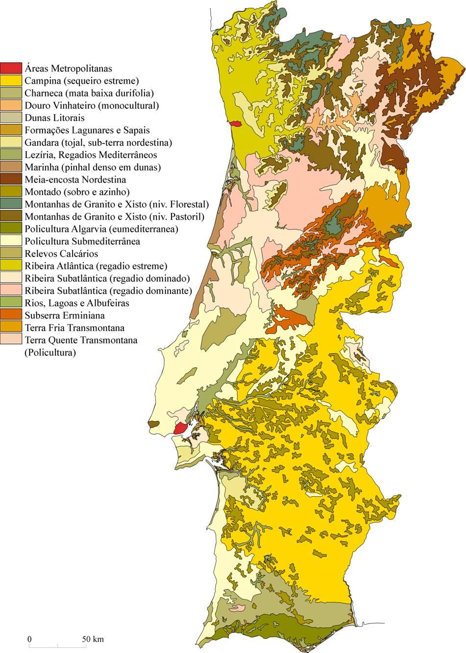 O ESTADO DO TERRITÓRIO Tipos de