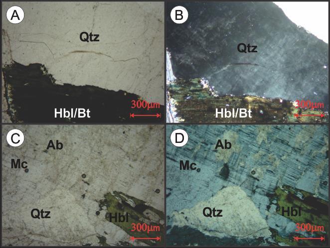 cristais de quartzo e microclínio Legenda: Qtz) Quartzo; Bt) Biotita; Chl) Clorita; Mc) Microclínio; Zrn) Zircão; (A,C) Nicóis paralelos; (B,D) Nicóis cruzados.