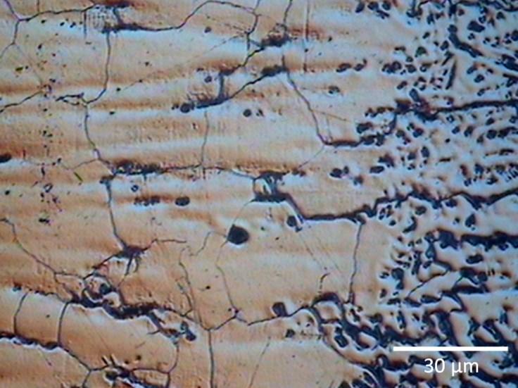 (c) (d) Figura 1: Microestrutura das diferentes regiões da amostra na condição soldada.