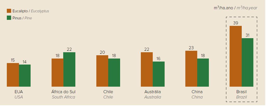 Produtividade florestal no Brasil versus