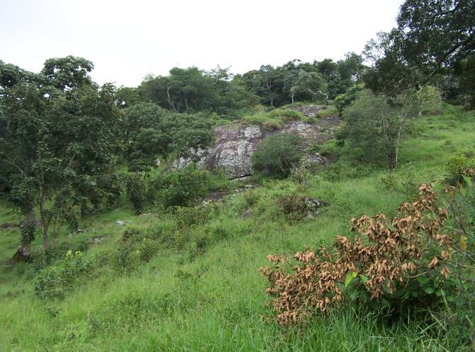 16 Foto 1: Afloramento rochoso da Pedreira de Granito Marrom Imperial, Caldas, Minas Gerais.