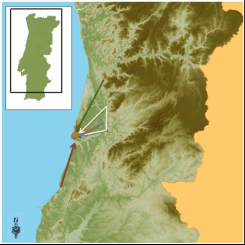 talvez reproduzindo, metaforicamente, a importância da viagem e das inter-relações grupais no Neolítico. Fig.