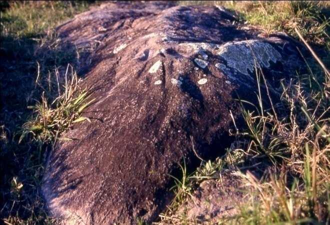 O fato de estarem fora da área de habitação permite concebê-las, também como uma área extensiva a esta, integradas por uma ou mais rochas (suporte) com marcas resultantes da aplicação da técnica de