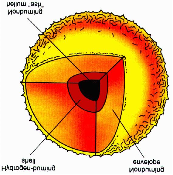 Na região 10 7 K < T < 10 8 K forma-se uma camada onde ocorre queima de H ao redor de um caroço de He inerte.