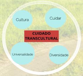 TEORIA DO CUIDADO TRANSCULTURAL - Leininger TEORIA DO CUIDADO TRANSCULTURAL - Leininger