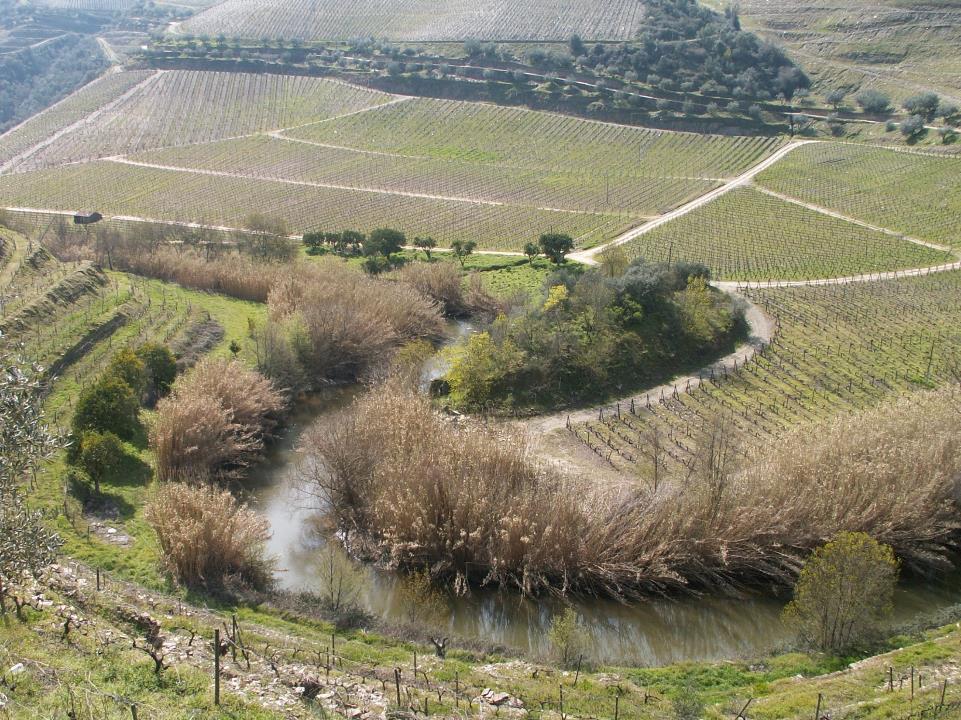 Infra-estrutura ecológica Qualquer infra-estrutura, existente na