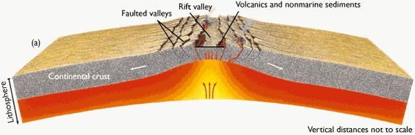 Riftes continentais Rifting; Dá-se devido ao estiramento da litosfera continental devido a esforços compressivos; Fragmentação em falhas normais e abatimento dos
