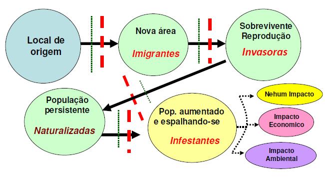 Evolução/Estágios das populações Filtros