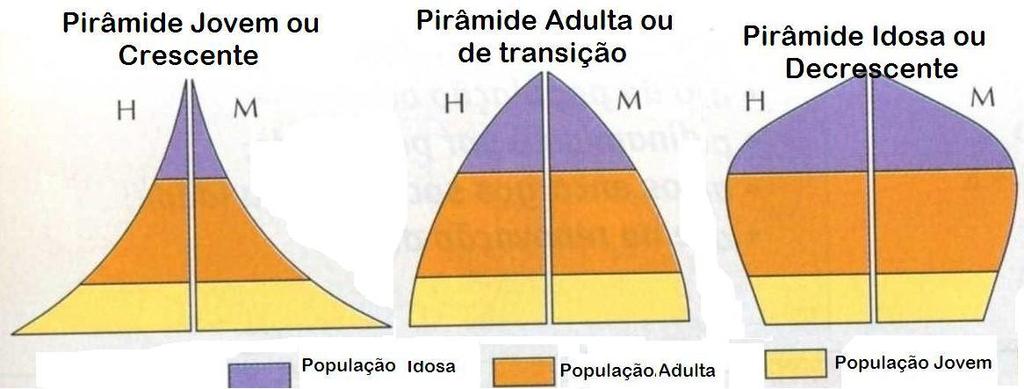 As pirâmides etárias são gráficos que representam a