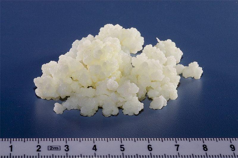 14 Figura 1: Grãos de kefir (FARNWORTH, 2005). 2.1. Características Químicas do kefir O kefir geralmente apresenta as seguintes características: ph entre 4,2 e 4,6; cerca de 0,8% (m/m) de ácido