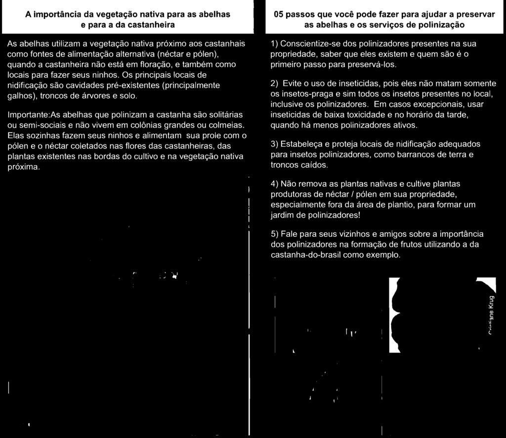 Em cass excepcinais, usar inseticidas de baixa txicidade e n hrári da tarde, quand há mens plinizadres ativs.