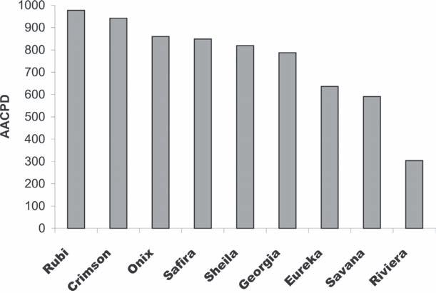 Reação de genótipos de melancia ao crestamento gomoso do caule dade de 3,0 kg, contendo uma mistura de terra vegetal + esterco, na proporção de 3:1.