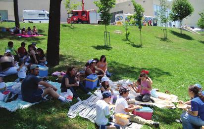 do Município Todo o dia Feira das Velharias